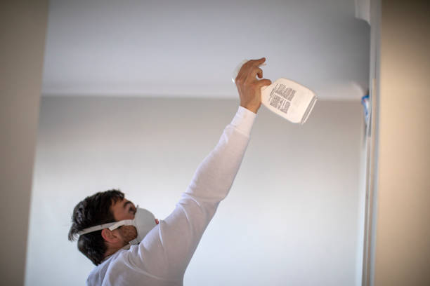 Best Residential Mold Remediation in Olivet, TN
